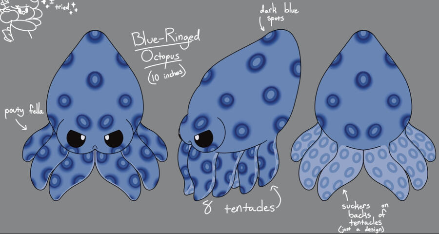 Blue-Ringed Octopus Plush Concept